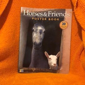 STOREY KIDS “Horses & Friends” poster book! Include 30 full color posters.